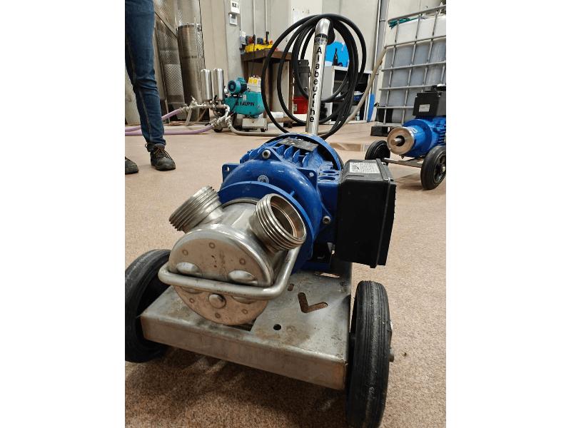 POMPE A VIN LIVERANI 100 HL/H
